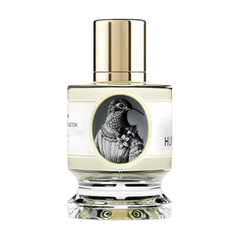 Zoologist Hummingbird Extrait