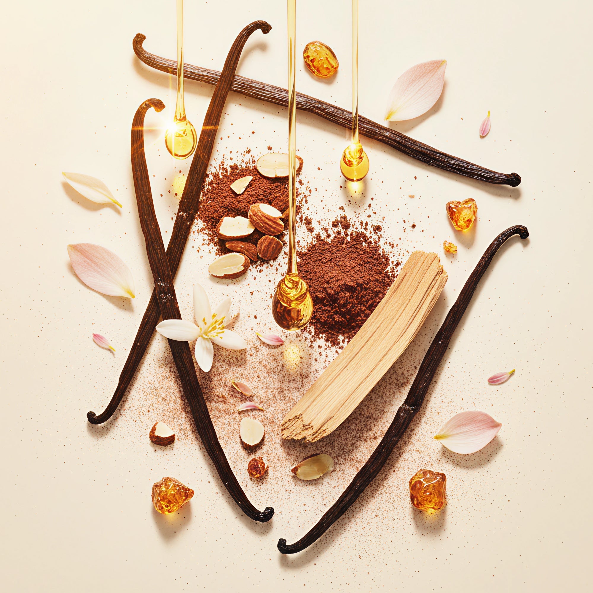 Are You Vanilla? Day & Night Collection